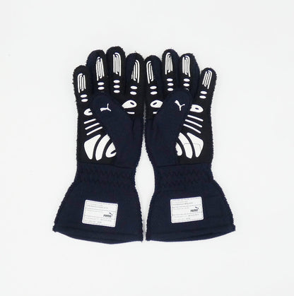 Max Verstappen 2021 Red Bull race gloves (1st championship win)