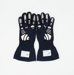 Max Verstappen 2021 Red Bull race gloves (1st championship win)